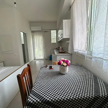 Guest 7 * Vlorë